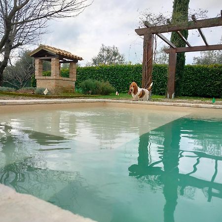 Ca' Le Cerque, Villa Surrounded By The Marche Nature Фоссомброне Экстерьер фото