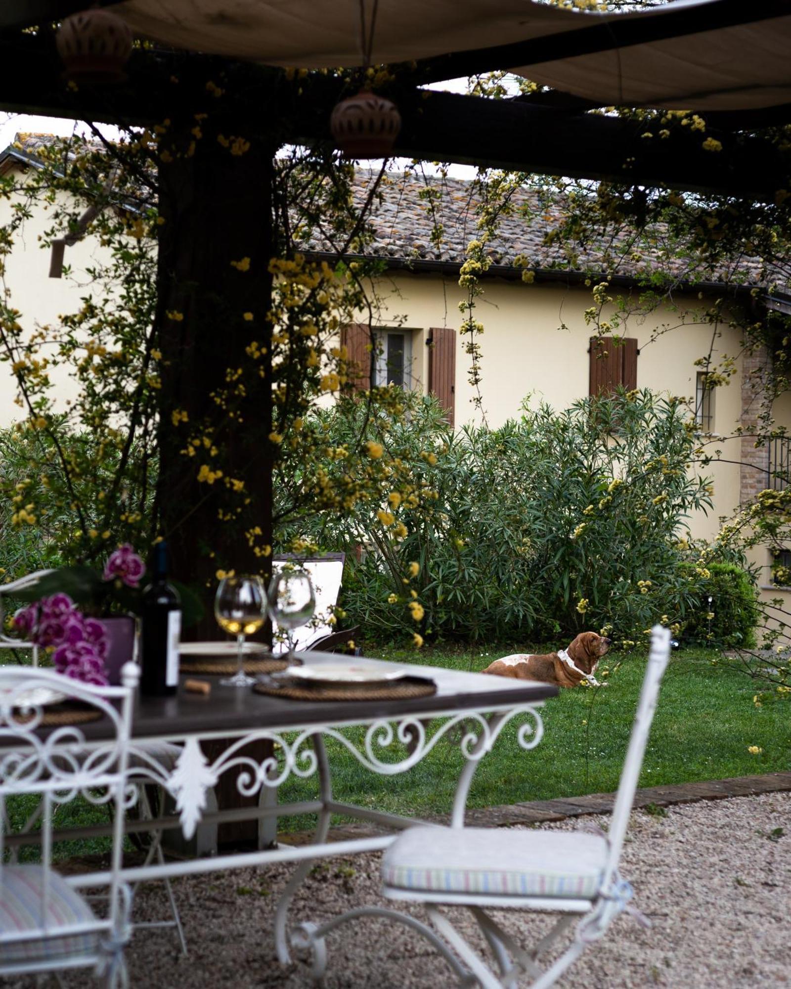 Ca' Le Cerque, Villa Surrounded By The Marche Nature Фоссомброне Экстерьер фото