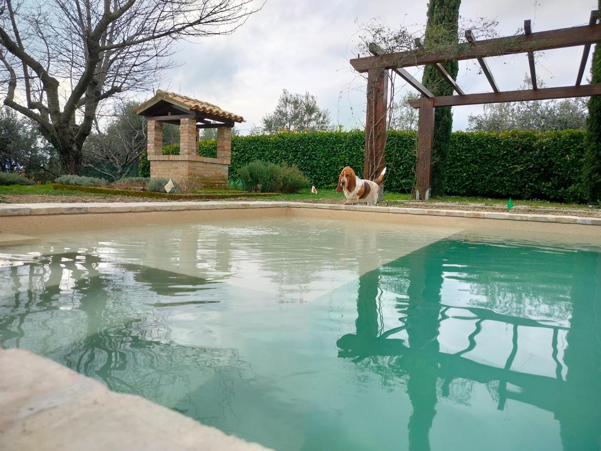 Ca' Le Cerque, Villa Surrounded By The Marche Nature Фоссомброне Экстерьер фото